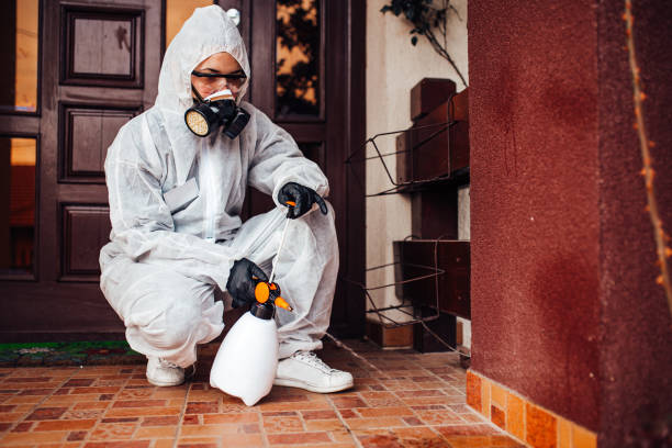 Reliable Cockroach Control contractor in Tyrone, OK by Nex Pest Control